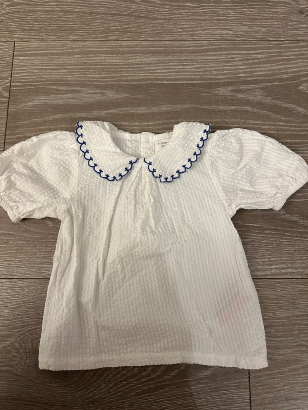 White Cotton Seersucker Peter Pan Collar Top with Blue Trim - Kids